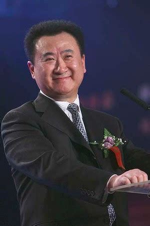 Wang Jianlin Quotes. QuotesGram