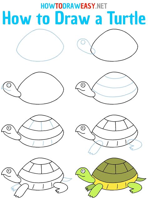 How to Draw a Turtle Step by Step | Turtle drawing, Turtle, Art ...