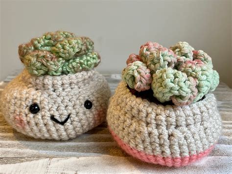 Crochet Succulent Pattern Crochet Plant Pattern Amigurumi Succulent