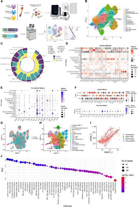 Figure 1 From Single Cell Multiomics Revealed The Dynamics Of Antigen