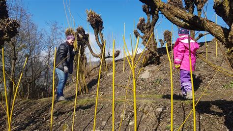 Balger Natur Veranstaltungen Balger Natur Umwelt Und Naturschutz