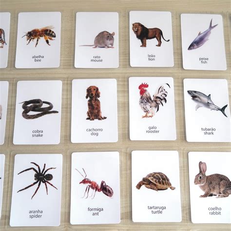 Kit Flashcards Animais Em Portugu S E Ingl S Elo