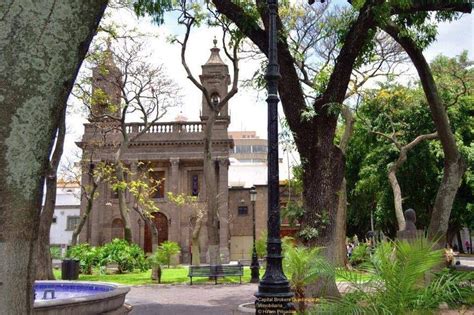 Parroquia Nuestra Señora del Carmen Zapopan Horario de Misas