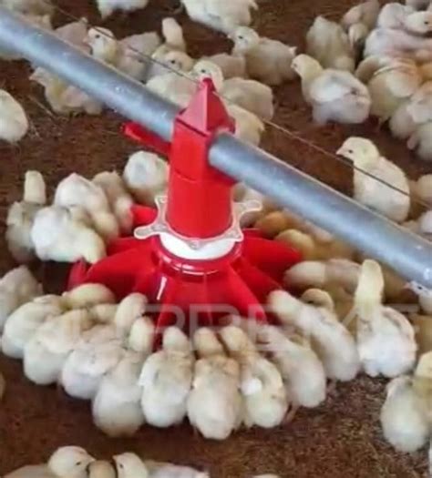 Automatic Pan Feeding System For Poultry Supreme Equipments