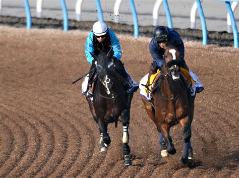 【有馬記念追い切り】タイトルホルダー〝有終の美〟へ向け横山和を背に熱血スパーリング 栗田調教師も太鼓判「柔らかみも出ていい状態」（東スポ競馬