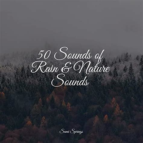 Play Calming Rain Tracks For Sleep By Life Sounds Nature