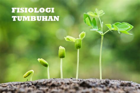 Fisiologi Tanaman Unismuh Merdeka Belajar