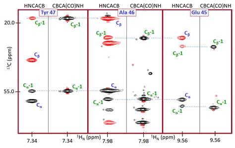 62 Heteronuclear 3d Nmr Resonance Assignment In Proteins Chemistry