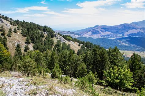 Parco Nazionale Della Sila In Calabria Italia It