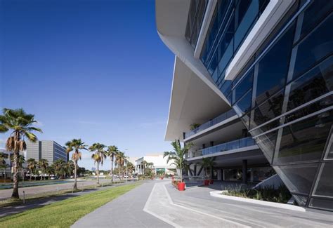 An Empty Street Lined With Palm Trees Next To A Tall Building On A