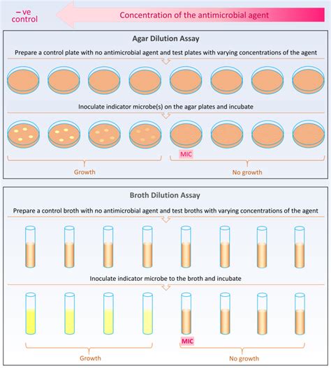 Agar Dilution And Broth Macrodilution Protocols For Antimicrobial