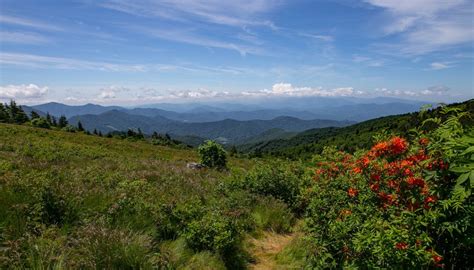 Colors At Roan Mountain Bald Photos By Ravi