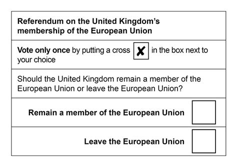 A History Of Brexit In 47 Objects The Story Of Leave LSE BREXIT