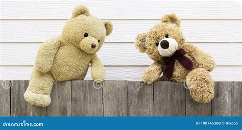 Two Brown Cute Naughty Teddy Bear Climbing Stock Photo Image Of