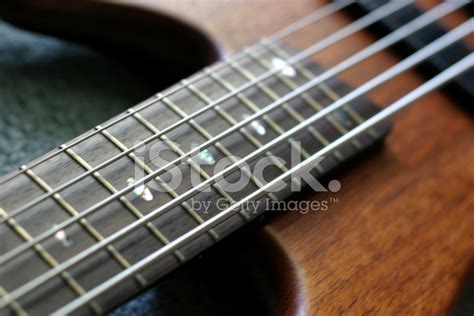 Bass Guitar Fretboard 7 Stock Photo Royalty Free Freeimages