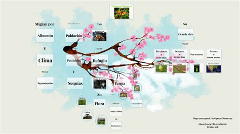 Mapa Conceptual Mariposa Monarca By Diana Olivares On Prezi