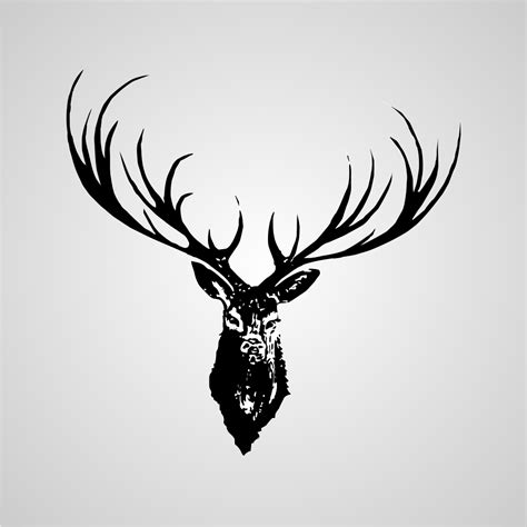 Deer Antler Vector at Vectorified.com | Collection of Deer Antler ...