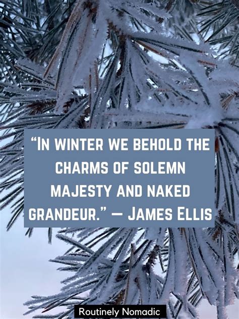 100 Best Short Winter Quotes For Those Chilly Days Routinely Nomadic