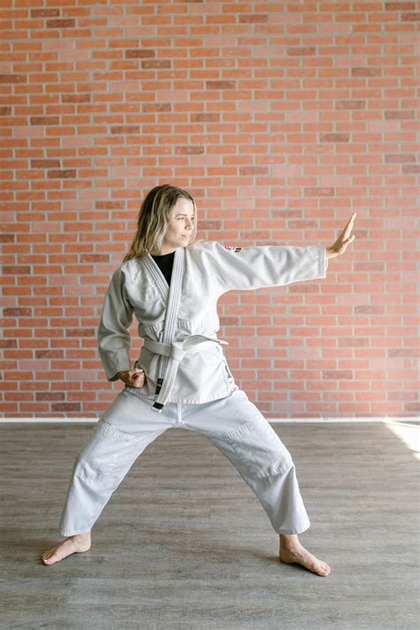 Dojo Photos, Download The BEST Free Dojo Stock Photos & HD Images