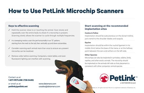 Proper Microchip Scanning Demonstration Petlink