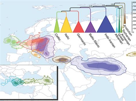 Pin On History Genealogy And Dna