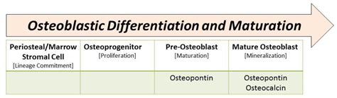 Can Impaired Diaphyseal Fracture Healing Be Predicted Early A Cohort