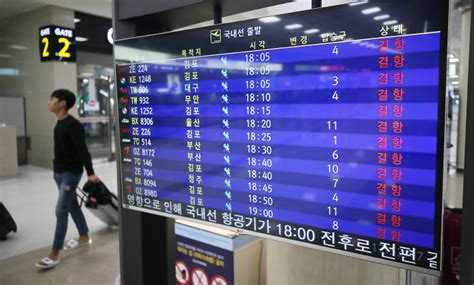 태풍 콩레이 영향 제주공항 오전 결항낮부터 재개될 듯 매일경제