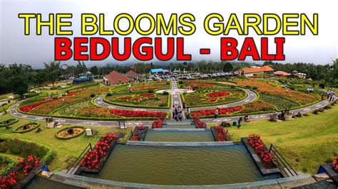 Popular Place The Blooms Garden Bedugul Bali Youtube