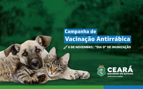 Mais De Milh Es De C Es E Gatos Devem Ser Vacinados Contra Raiva No