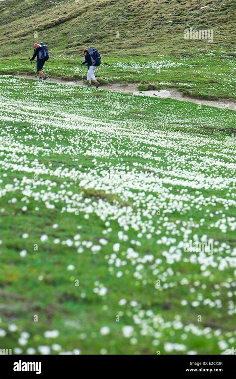 France Hautes Alpes Parc Naturel Regional Du Queyras Natural Regional