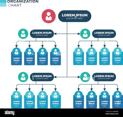 Business Structure Of Organization Vector Organizational Structural Hierarchy Chart With