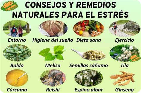 Tratamiento Natural Del Estr S Botanical Online