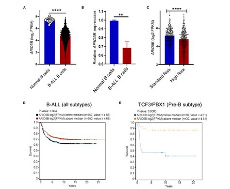 aridb expression   cells    leukemic transformation