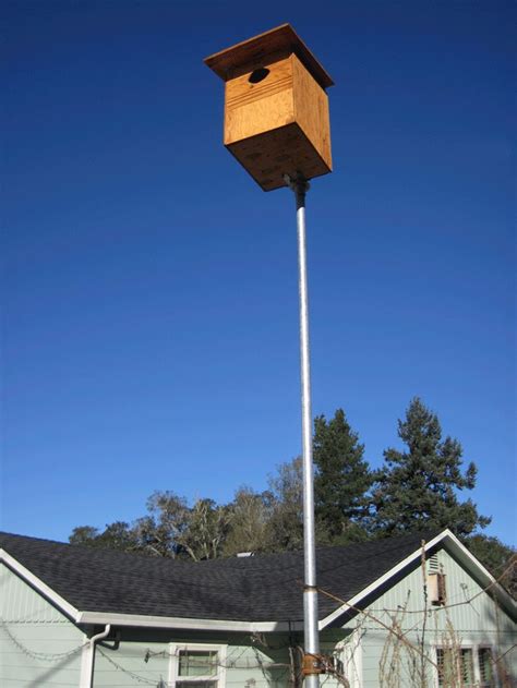 Pole-Mounted Barn Owl Box Plans ~ BARNDCRO