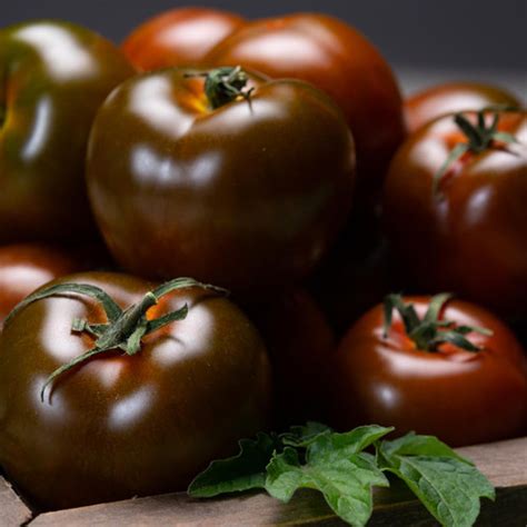 Jubilee Tomato Solanum Lycopersicum Indeterminate Annies Heirloom