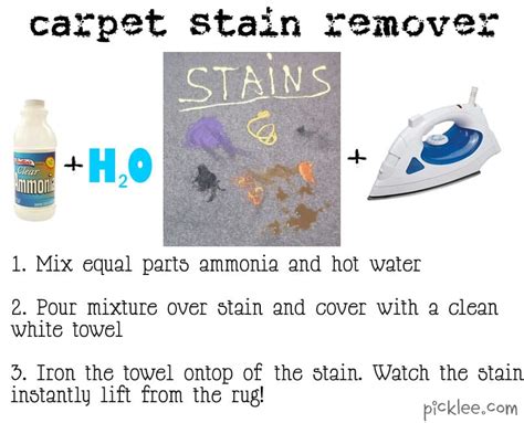 carpet stain remover | pin this not that