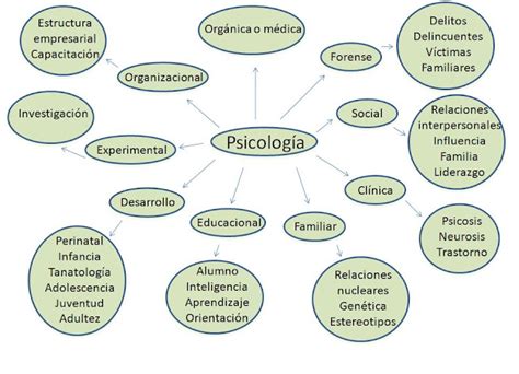 La Psicología Y La Filosofía Concept Map