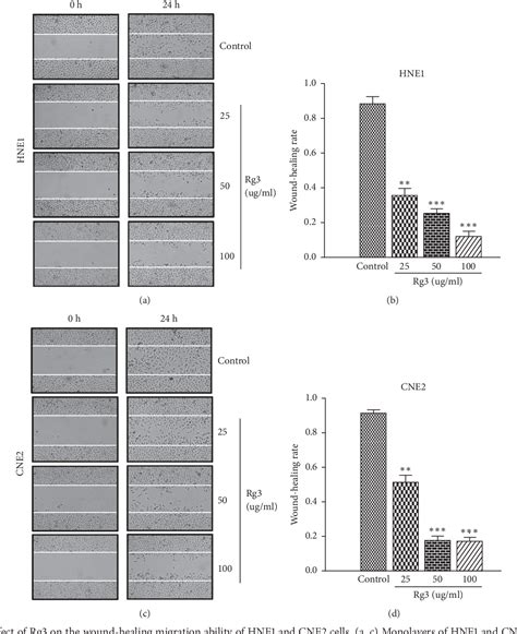 Figure From Ginsenoside Rg Inhibits Migration And Invasion Of