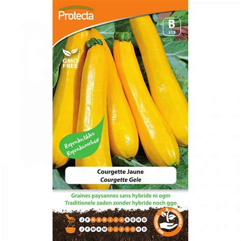 Courgettezaden Gele 2 Gram MarketOnWeb