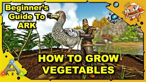 How To Get Started In Ark A Beginners Guide How To Grow Vegetables