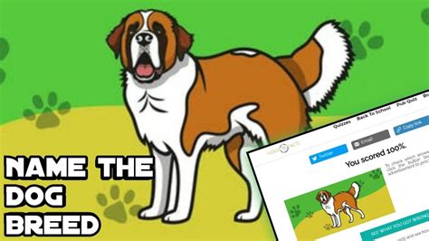 Name The Dog Breed Quiz Answers Youtube