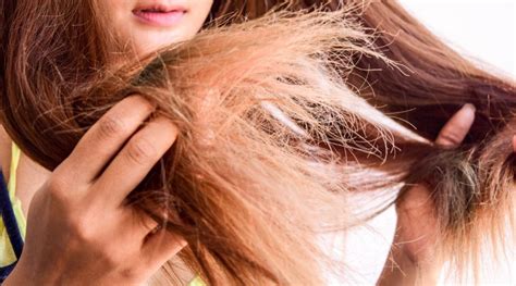 Cabelo ressecado O que é causas como identificar e tratar Fala