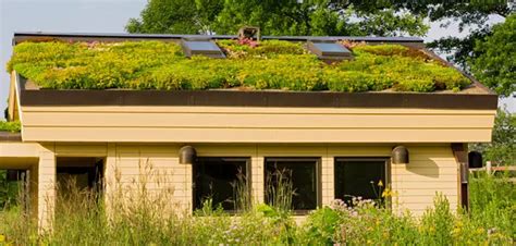 Residential Green Roofs