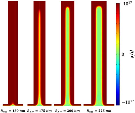 Charge density ρ in units of e for RNW 150 175 200 and 225 nm with