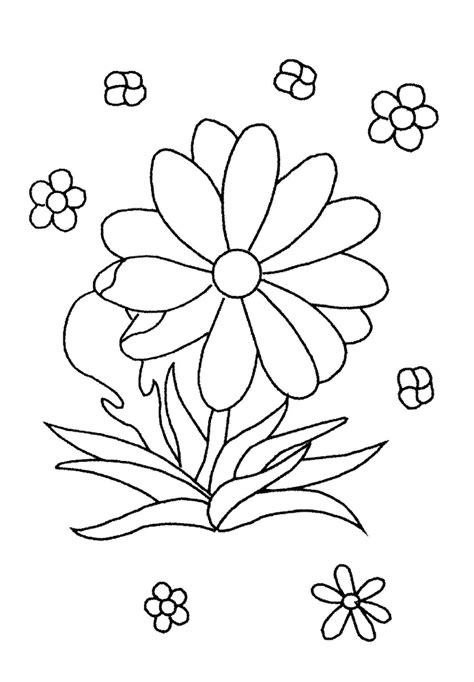 Coloriage Marguerite 161390 Nature Dessin à colorier Coloriages