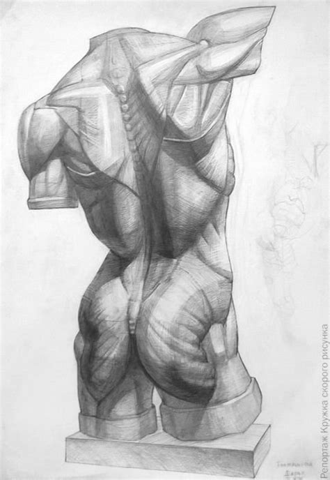 Рисунок экорше гудона (50 фото)