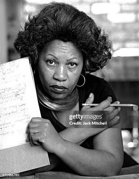 Toni Morrison Photos And Premium High Res Pictures Getty Images