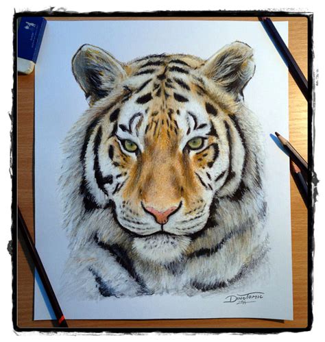 25 Belos Desenhos De Animais Para A Sua Inspiração Como Desenhar Animais Desenhos Realistas