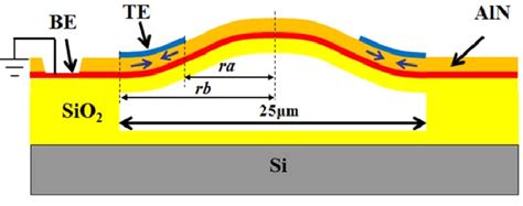 The First A And Second B Mode Shapes Of The Pmut Obtained From Fem