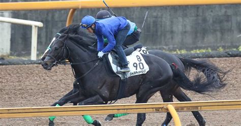 【天皇賞・春】2週前追い ジャスティンパレスcwで馬なり11秒9 サンスポzbat